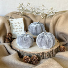 Load image into Gallery viewer, Velvet Pumpkin Set - Grey