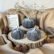 Load image into Gallery viewer, Velvet Pumpkin Set - Grey