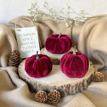 Load image into Gallery viewer, Velvet Pumpkin Set - Autumnal