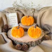 Load image into Gallery viewer, Velvet Pumpkin Set - Autumnal