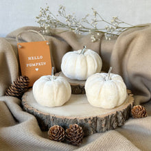 Load image into Gallery viewer, Velvet Pumpkin Set - Grey