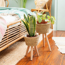 Load image into Gallery viewer, Sass & Belle Basket Planter on Legs