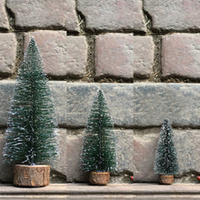 Load image into Gallery viewer, Bristle Christmas Trees