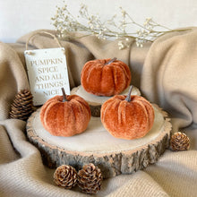 Load image into Gallery viewer, Velvet Pumpkin Set - Autumnal