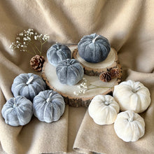 Load image into Gallery viewer, Velvet Pumpkin Set - Grey