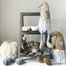 Load image into Gallery viewer, Velvet Pumpkin Set - Grey