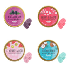 Load image into Gallery viewer, Soy Wax Melt Tins - Fruity Range