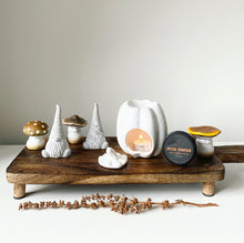 Load image into Gallery viewer, Pumpkin Oil Burner - White