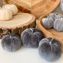Load image into Gallery viewer, Velvet Pumpkin Set - Grey