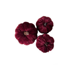 Load image into Gallery viewer, Velvet Pumpkin Set - Autumnal