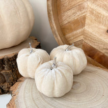 Load image into Gallery viewer, Velvet Pumpkin Set - Grey
