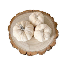 Load image into Gallery viewer, Velvet Pumpkin Set - Grey