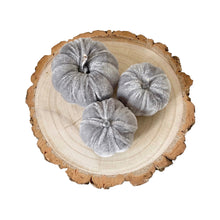 Load image into Gallery viewer, Velvet Pumpkin Set - Grey