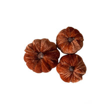Load image into Gallery viewer, Velvet Pumpkin Set - Autumnal