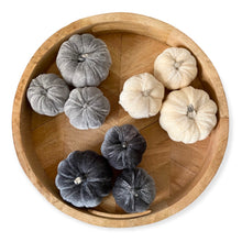 Load image into Gallery viewer, Velvet Pumpkin Set - Grey