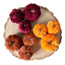 Load image into Gallery viewer, Velvet Pumpkin Set - Autumnal