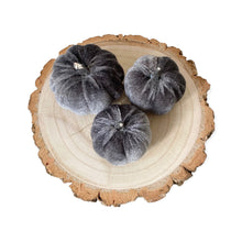 Load image into Gallery viewer, Velvet Pumpkin Set - Grey