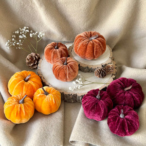 Velvet Pumpkin Set - Autumnal