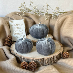 Velvet Pumpkin Set - Grey