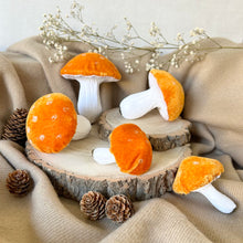 Load image into Gallery viewer, Velvet Toadstools Set - Orange
