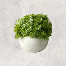 Load image into Gallery viewer, Faux Shrub in Concrete Pot
