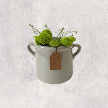 Load image into Gallery viewer, Medium Grey Vase With Handles

