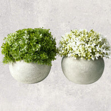 Load image into Gallery viewer, Faux Shrub in Concrete Pot
