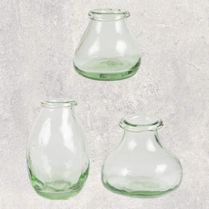 Sass & Belle Curved Glass Bud Vase