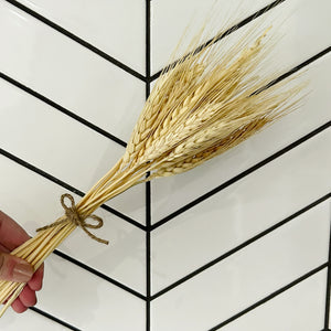 Dried Wheat Grass Stems