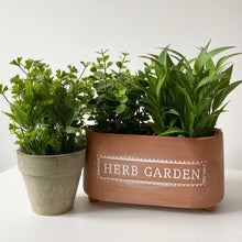 Load image into Gallery viewer, Sass &amp; Belle Herb Garden Terracotta Trough Planter
