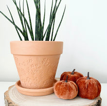 Load image into Gallery viewer, Engraved Botanical Terracotta Planter
