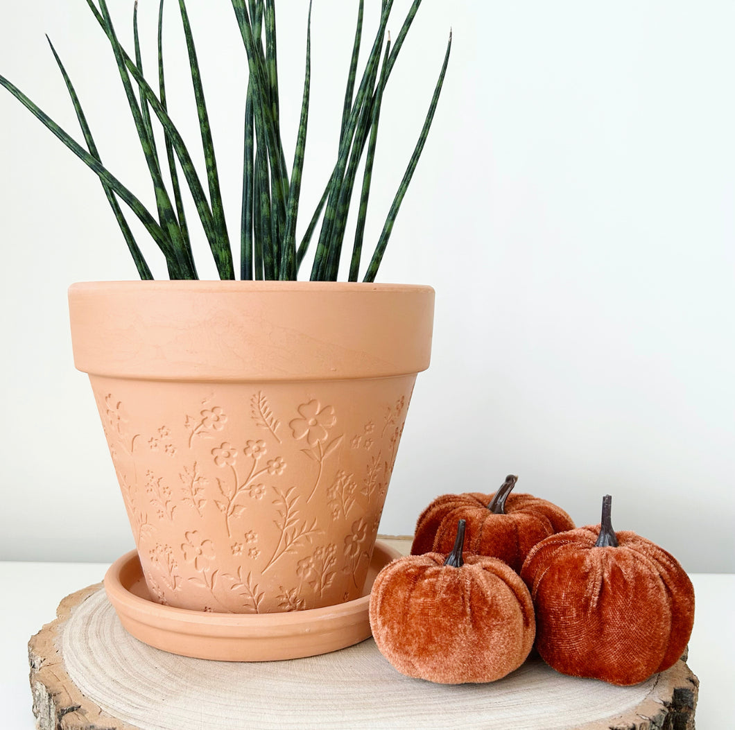 Engraved Botanical Terracotta Planter