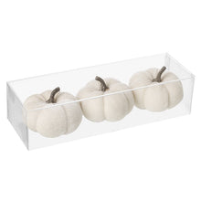 Load image into Gallery viewer, Velvet Pumpkin Set - White
