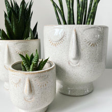 Load image into Gallery viewer, Dreaming Stoneware Planters
