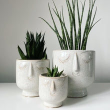 Load image into Gallery viewer, Dreaming Stoneware Planters
